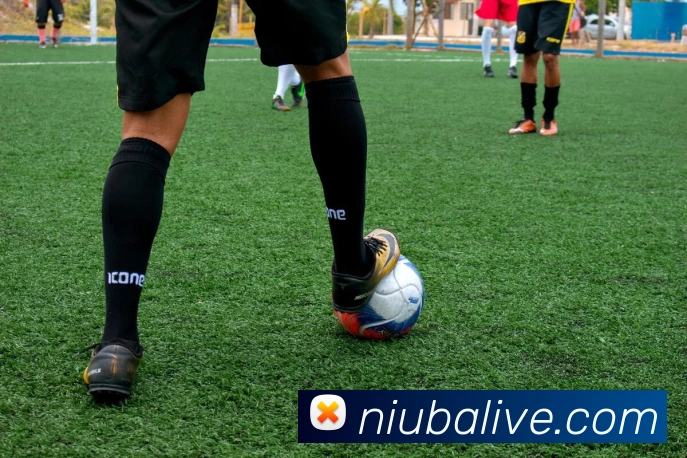 App Interface Preview