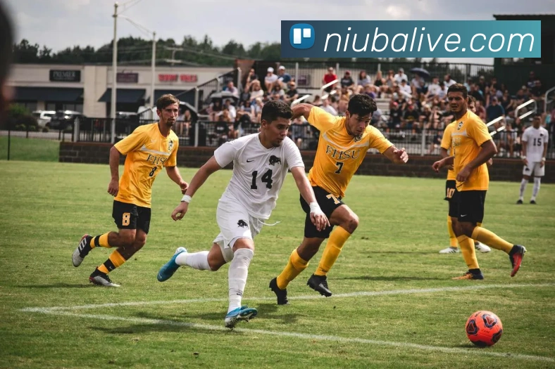 牛八体育APP 封面图